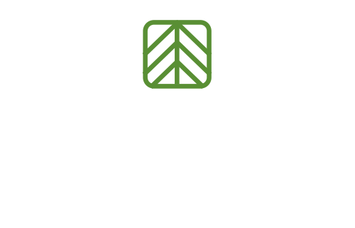 편백하우스 — 산울타리 계곡을 품은 팬션
